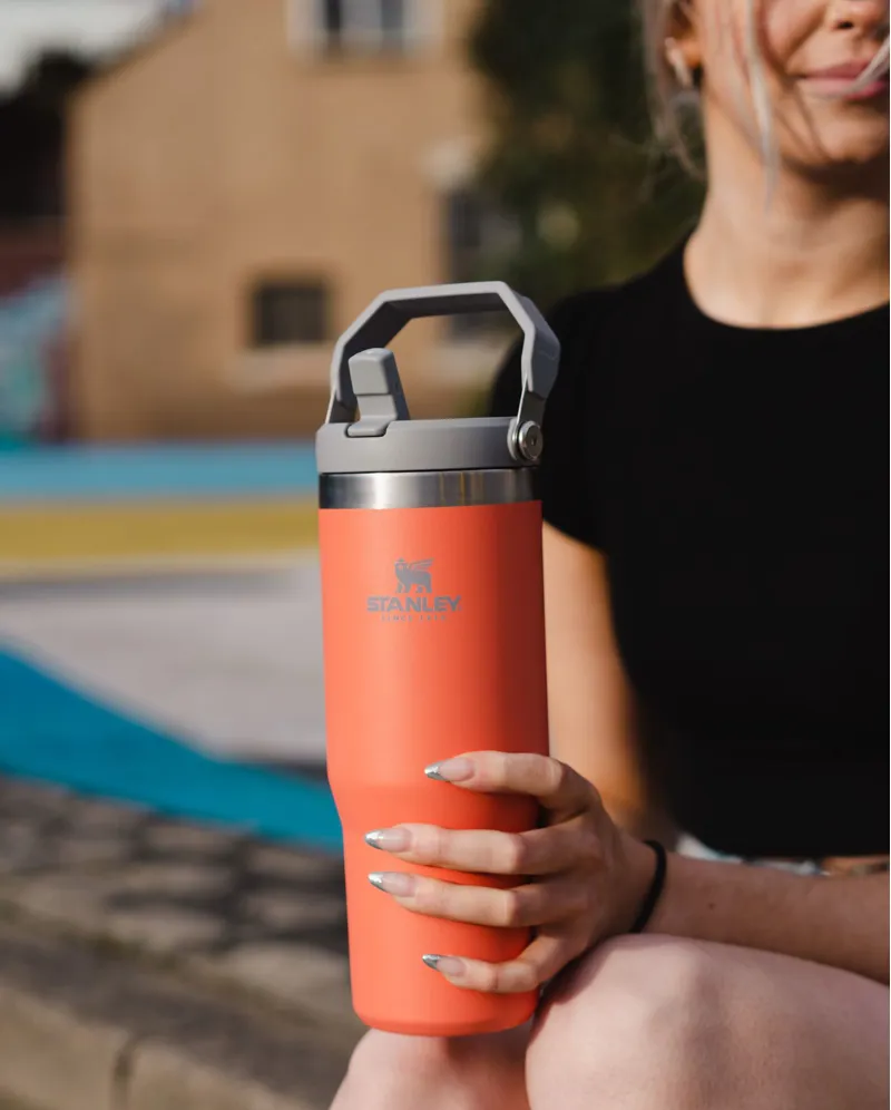 Stanley Classic Iceflow Flip Straw Tumbler 0.89L Guava-4